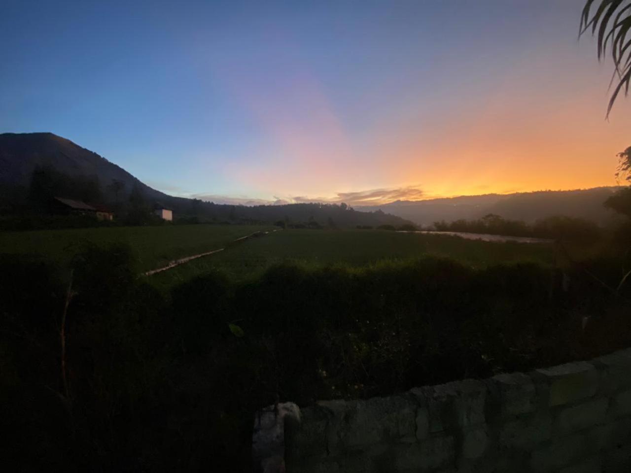 Mount Batur Homestay Kubupenlokan Buitenkant foto