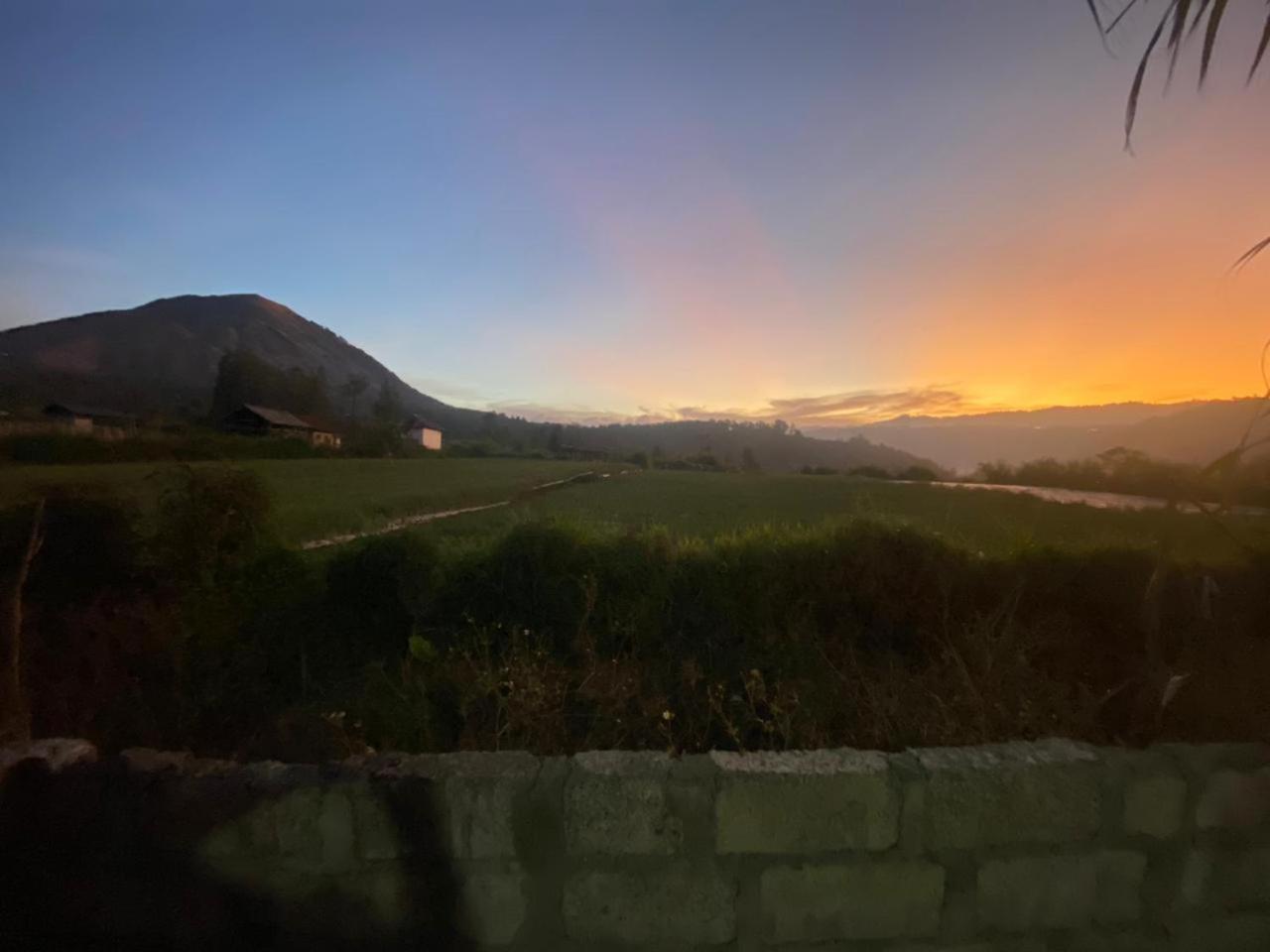 Mount Batur Homestay Kubupenlokan Buitenkant foto